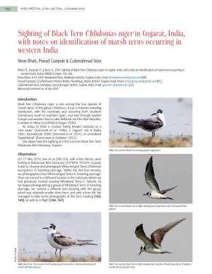 Sighting of Black Tern Chlidonias Niger in Gujarat, India, with Notes On
