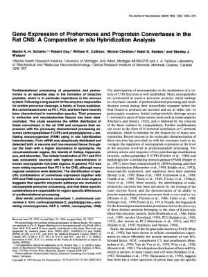 Gene Expression of Prohormone and Proprotein Convertases in the Rat CNS: a Comparative in Situ Hybridization Analysis