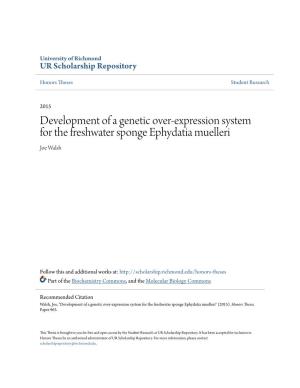 Development of a Genetic Over-Expression System for the Freshwater Sponge Ephydatia Muelleri Joe Walsh