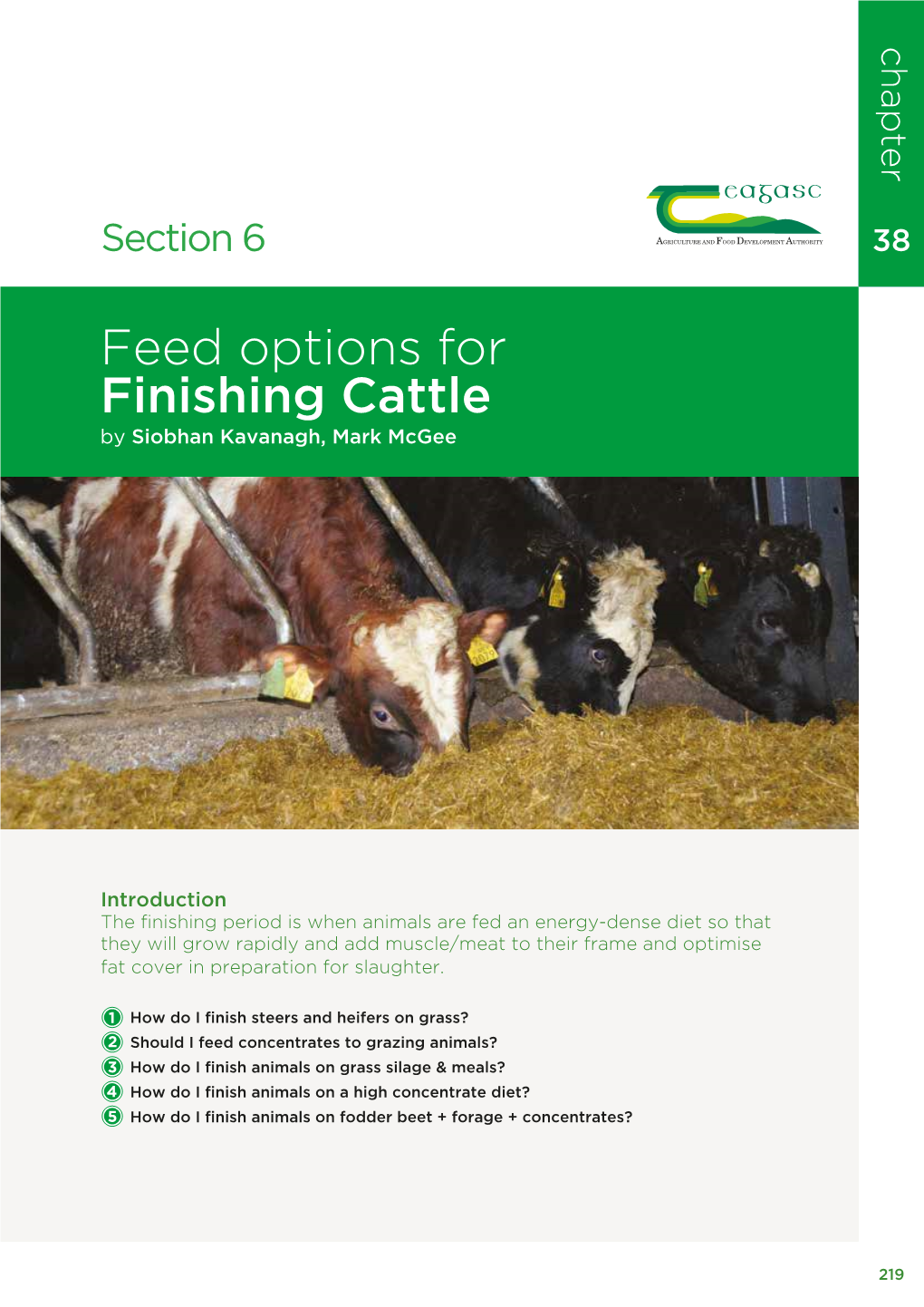 Feed Options for Finishing Cattle by Siobhan Kavanagh, Mark Mcgee