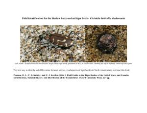 Field Identification for the Siuslaw Hairy-Necked Tiger Beetle: Cicindela Hirticollis Siuslawensis