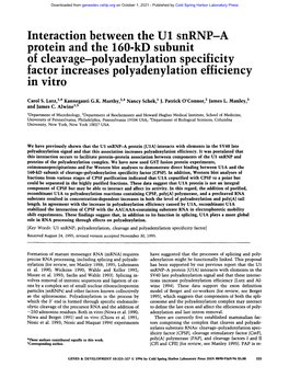 Interaction Between the U1 Snrnp-A Protein and the 160-Kd Subunit ... 9F Cleavage-Polyadenylation Speclhclty Factor Increases Polyadenylation Efficiency in Vitro