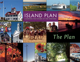 The Plan ISLAND PLAN ------CHARTING THIE FUTURE of the VINEYAIRD