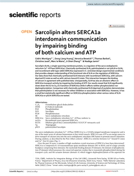 Sarcolipin Alters Serca1a Interdomain Communication By