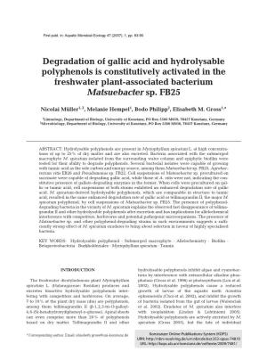 Degradation of Gallic Acid and Hydrolysable Polyphenols Is Constitutively Activated in the Freshwater Plant-Associated Bacterium Matsuebacter Sp