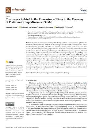 Challenges Related to the Processing of Fines in the Recovery of Platinum Group Minerals (Pgms)