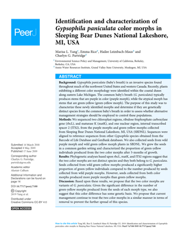 Identification and Characterization of Gypsophila Paniculata Color