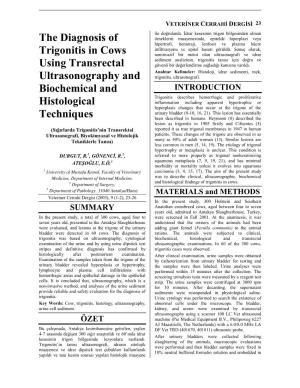 The Diagnosis of Trigonitis in Cows Using Transrectal Ultrasonography