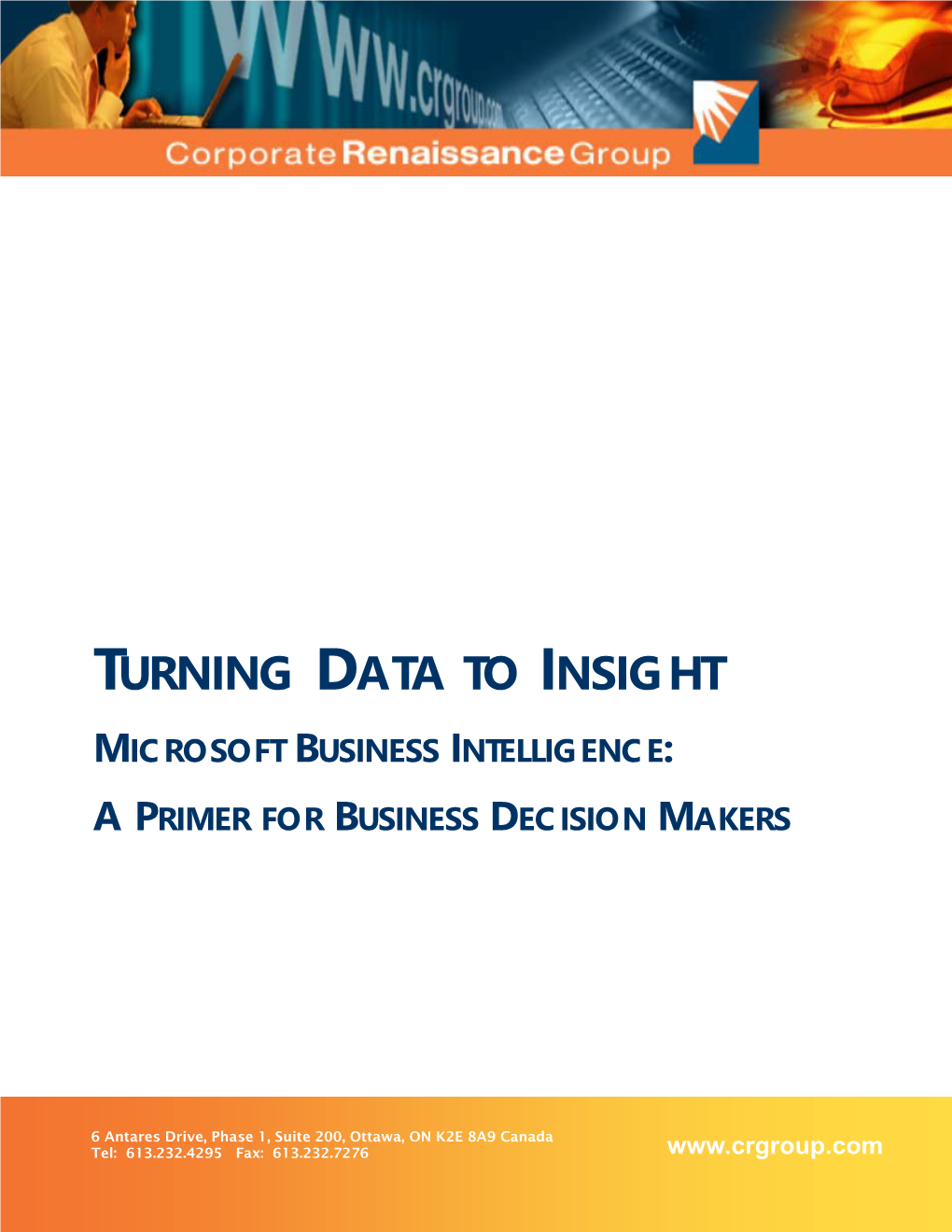 Turning Data to Insight BI January 2009