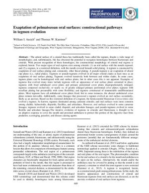 Exaptation of Pelmatozoan Oral Surfaces: Constructional Pathways in Tegmen Evolution