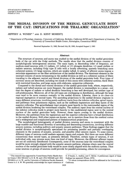 The Medial Division of the Medial Geniculate Body of the Cat: Implications for Thalamic Organization’