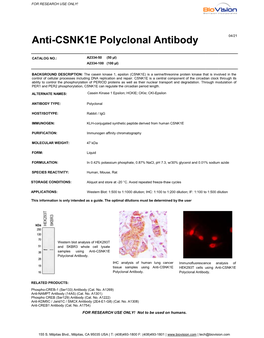 Anti-CSNK1E Polyclonal Antibody