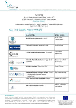 GANNET53 a Drug Strategy Targeting Stabilised Mutant P53 to Fight Metastatic Platinum-Resistant Ovarian Cancer EUROPEAN PROJECT