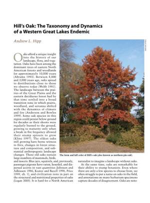 Hill's Oak: the Taxonomy and Dynamics of a Western Great Lakes