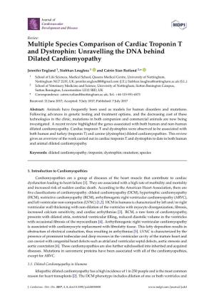 Multiple Species Comparison of Cardiac Troponin T and Dystrophin: Unravelling the DNA Behind Dilated Cardiomyopathy
