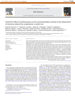 Protective Effects of Anthocyanins on the Ectonucleotidase Activity in the Impairment of Memory Induced by Scopolamine in Adult Rats