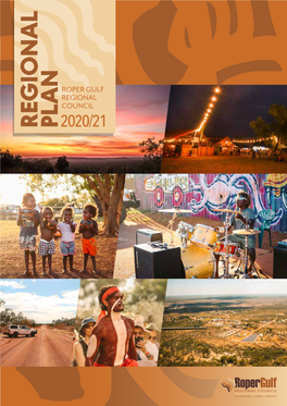 Regional Plan Was Approved by Council at Its Ordinary Meeting in Katherine on 29 July 2020