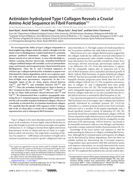 Actinidain-Hydrolyzed Type I Collagen Reveals a Crucial Amino Acid