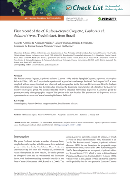 First Record of the Cf. Rufous-Crested Coquette, Lophornis Cf. Delattrei (Aves, Trochilidae), from Brazil