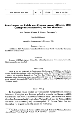 Bemerkungen Zur Radula Von Strombus Decorus (RÖDING, 1798) (Gastropoda: Prosobranchia) Aus Dem Mittelmeer
