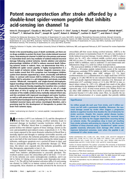 Potent Neuroprotection After Stroke Afforded by a Double-Knot Spider-Venom Peptide That Inhibits Acid-Sensing Ion Channel 1A