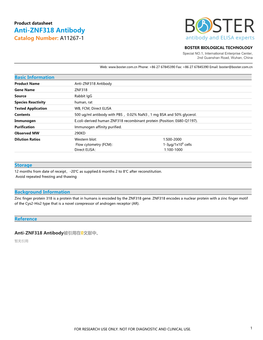 Datasheet A11267-1 Anti-ZNF318 Antibody