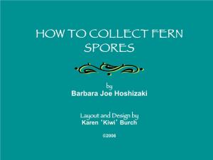 How to Collect Fern Spores!