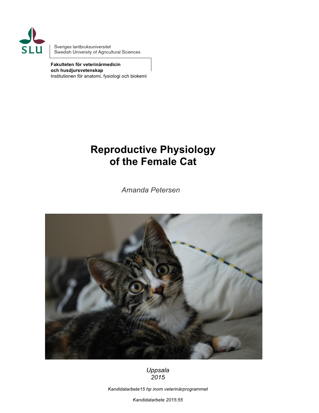 Reproductive Physiology of the Female Cat