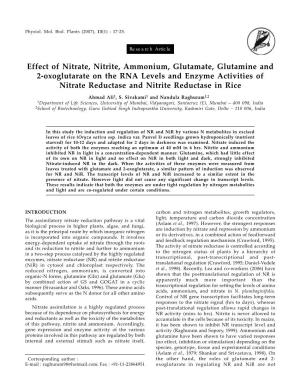 Effect of Nitrate, Nitrite, Ammonium, Glutamate, Glutamine and 2