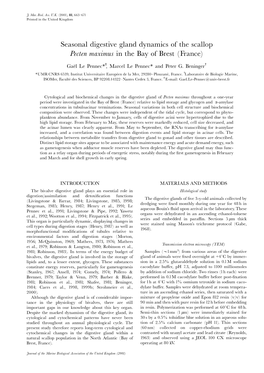 Seasonal Digestive Gland Dynamics of the Scallop Pecten Maximus in the Bay of Brest France)