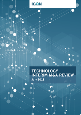 TECHNOLOGY Interim M&A Review