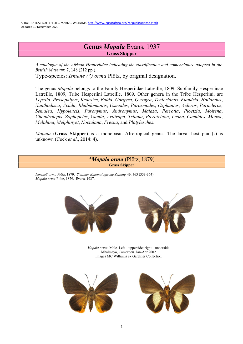 091 Genus Mopala Evans