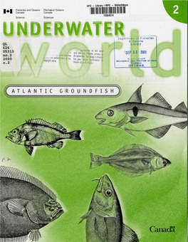 Atlantic Groundfish Atlantic Groundfish