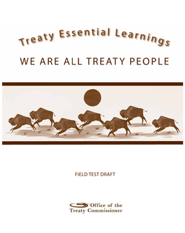 Treatyessential Learnings