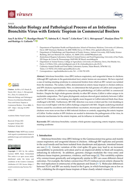 Molecular Biology and Pathological Process of an Infectious Bronchitis Virus with Enteric Tropism in Commercial Broilers