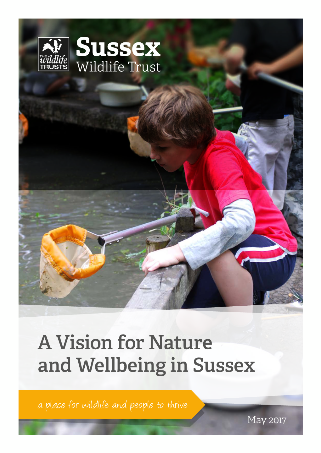 A Vision for Nature and Wellbeing in Sussex a Place for Wildlife and People to Thrive May 2017 Bringing Nature’S Beneﬁts to People