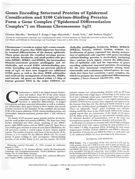 Genes Encoding Structural Proteins of Epidermal Cornification