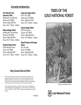 Trees of the Lolo National Forest