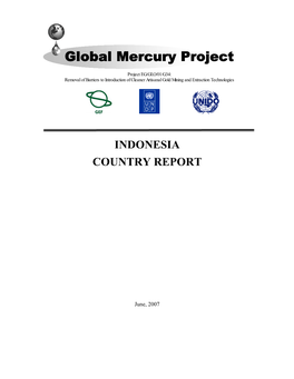 Global Mercury Project
