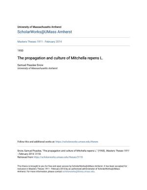 The Propagation and Culture of Mitchella Repens L