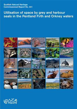 Utilisation of Space by Grey Harbour Seals in the Pentland Firth And