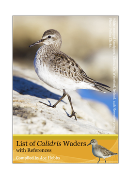 List of Calidris Waders with References