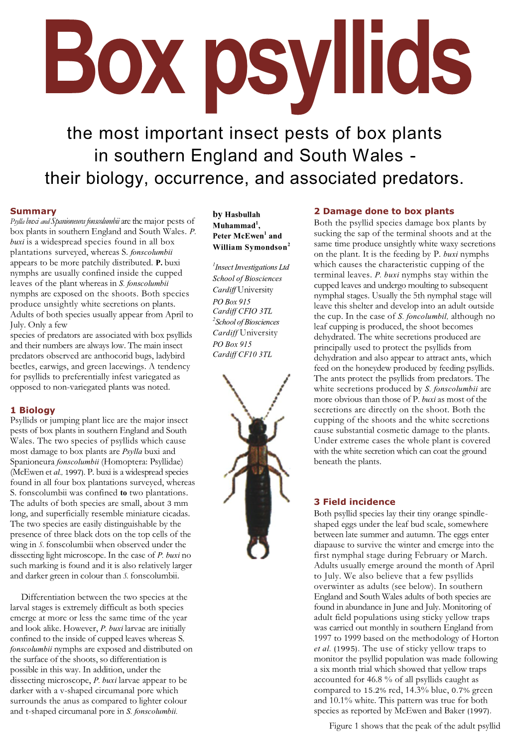 Box Psyllids-Biology, Occurrence and Predators