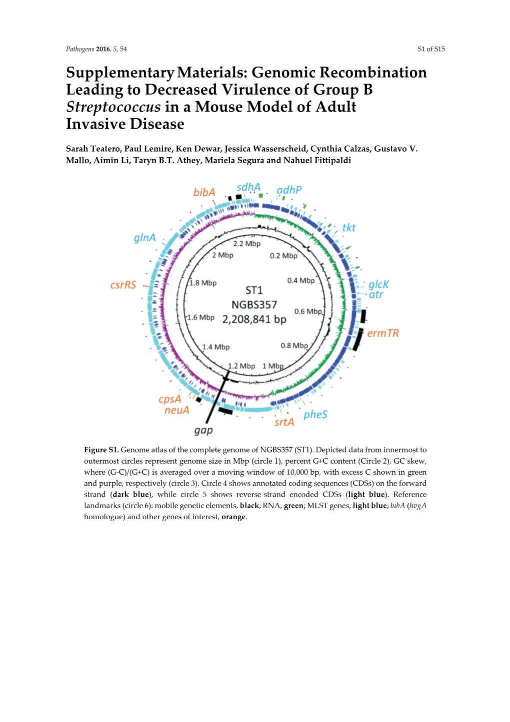 Genomic Recombination Leading to Decreased Virulence of Group B Streptococcus in a Mouse Model of Adult Invasive Disease