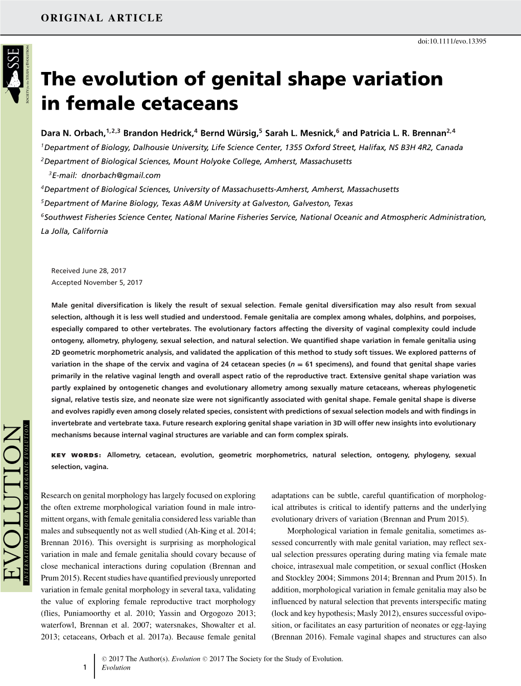 The Evolution of Genital Shape Variation in Female Cetaceans