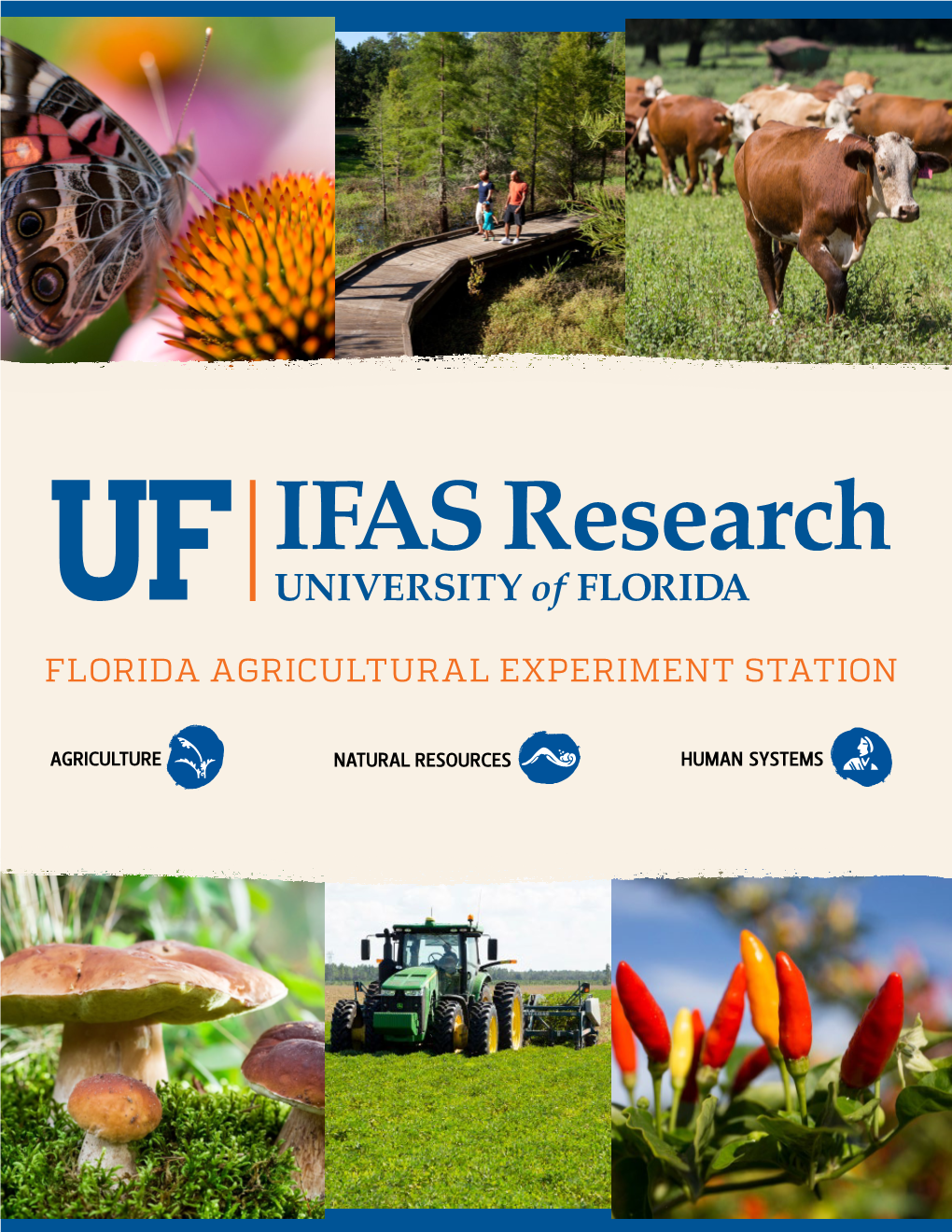 Florida Agricultural Experiment Station