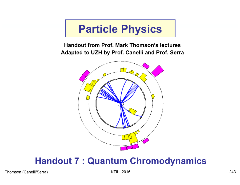 Particle Physics