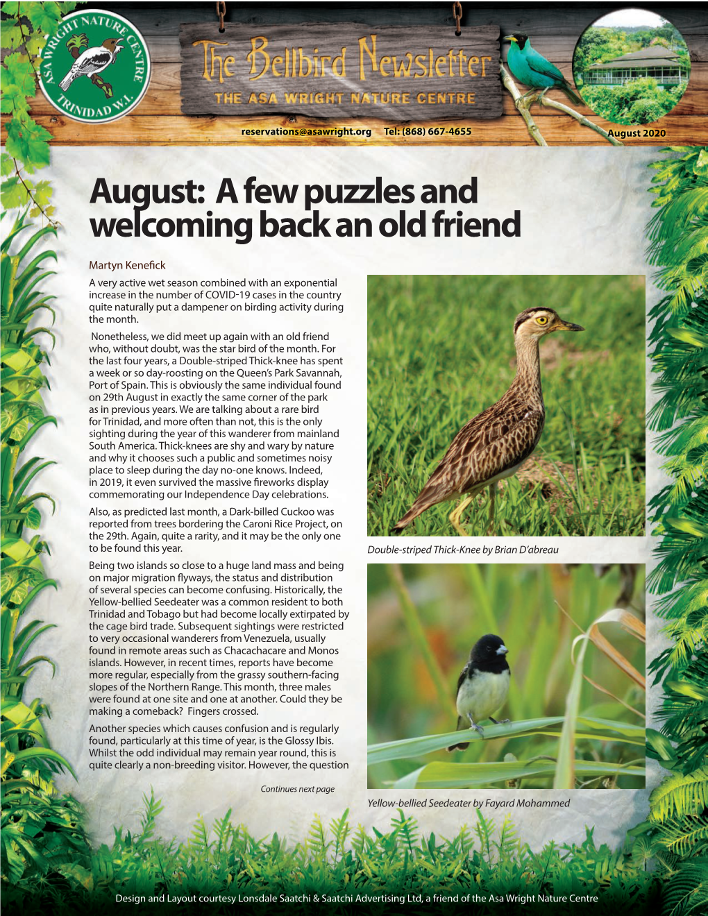 August 2020 August: a Few Puzzles and Welcoming Back an Old Friend