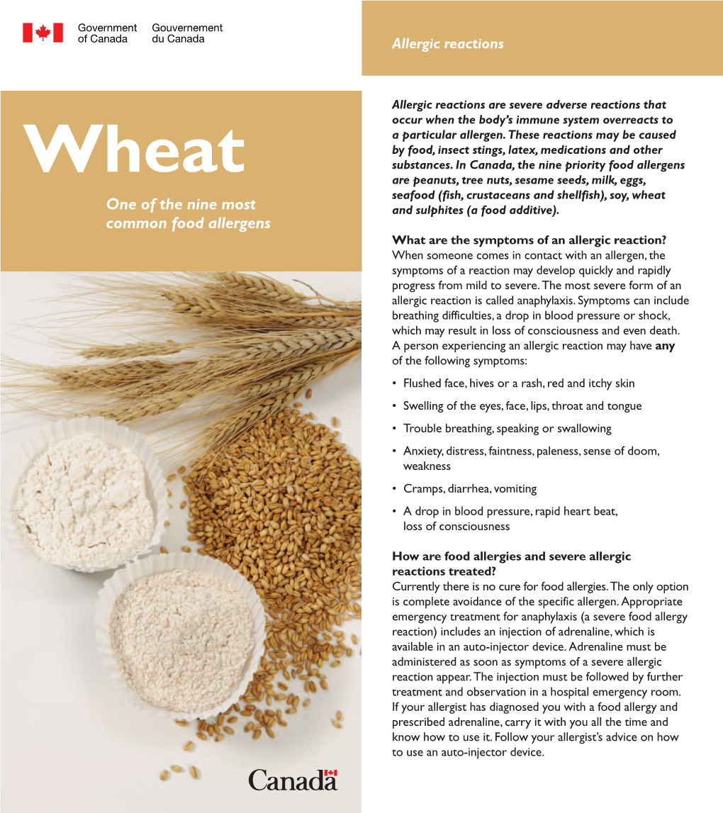 Wheat Allergy CFIA