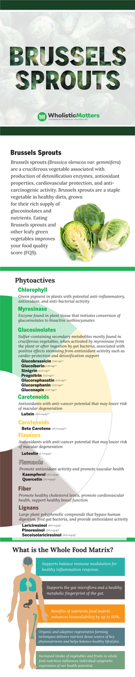 Brussels Sprouts Phytoactives What Is the Whole Food Matrix?